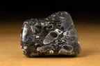 ツリテラ (Turritella Agate) - Rock Identifier ツリテラ (Turritella Agate) - Rock Identifier