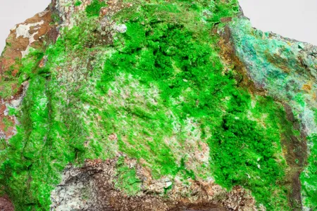 コニカルコ石 (Conichalcite) - Rock Identifier コニカルコ石 (Conichalcite) - Rock Identifier