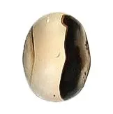 Montana Moss Agate tumbled