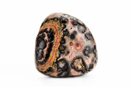 レオパードスキンジャスパー (Leopard Skin) - Rock Identifier レオパードスキンジャスパー (Leopard Skin) - Rock Identifier