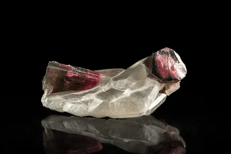 ウォーターメロントルマリン (Watermelon Tourmaline) - Rock Identifier ウォーターメロントルマリン (Watermelon Tourmaline) - Rock Identifier