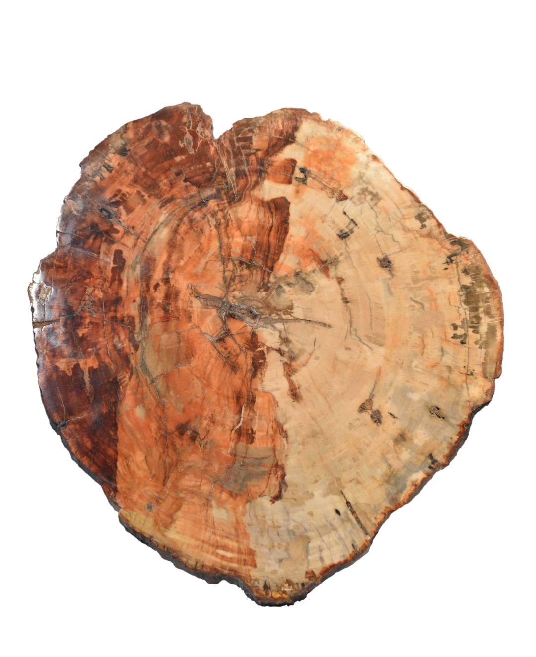 Segnitite (Segnitite)