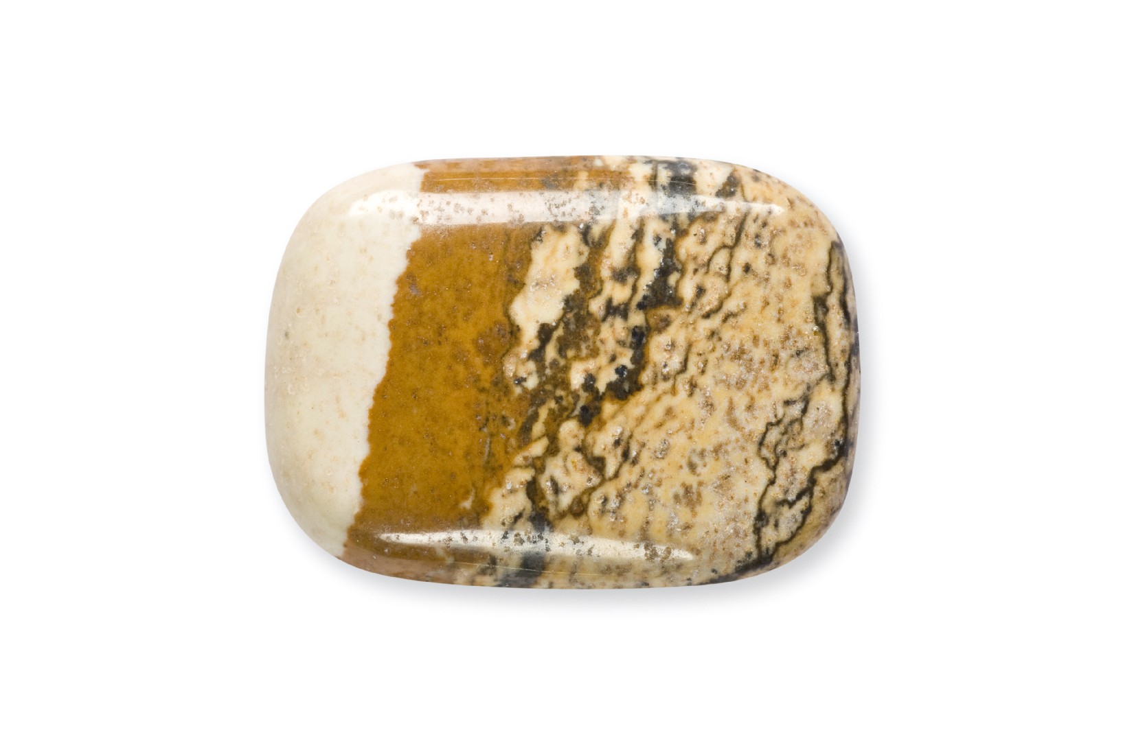 Picture Jasper (Picture Jasper)