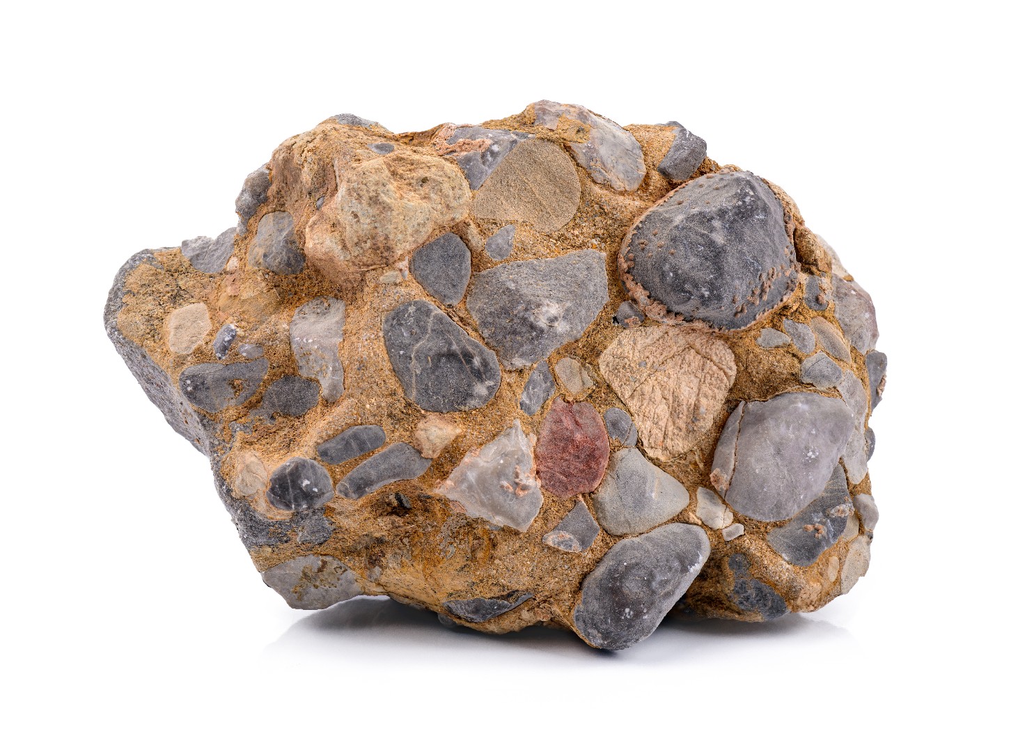 Conglomerate (Conglomerate)