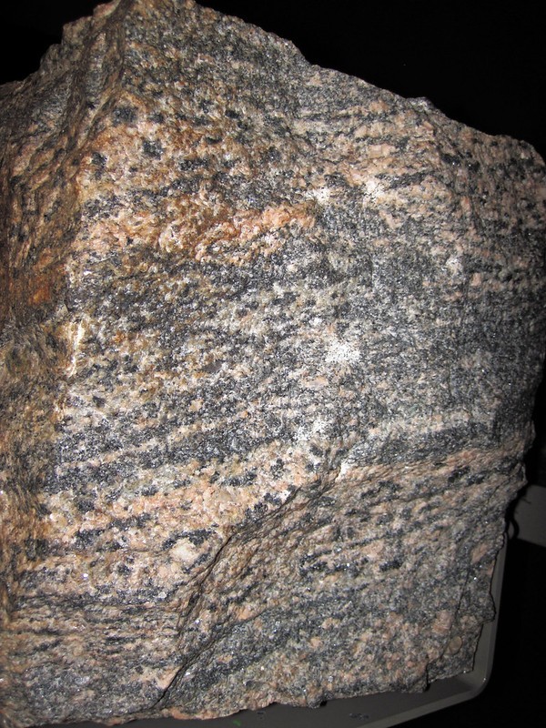 Gneiss granitisé (Migmatite)