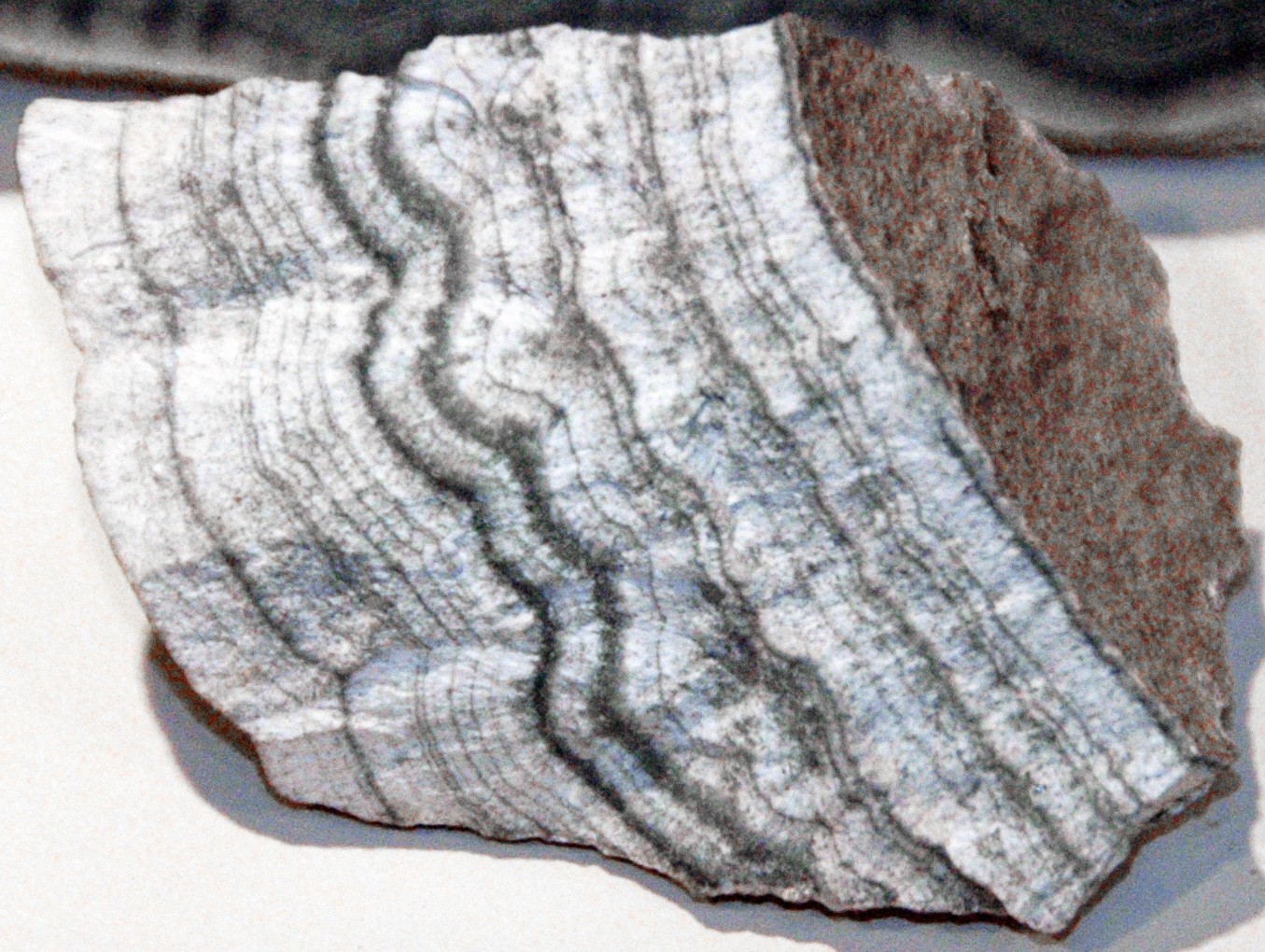 スカルン (Skarn) - Rock Identifier