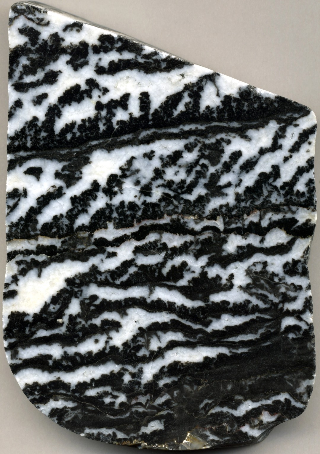 얼룩말 대리석 (Zebra Marble)