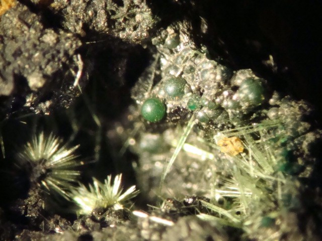 Olivenite (Olivenite)
