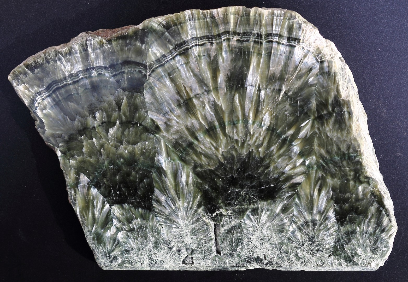 高品質セラフィナイト☆17センチ セラフィナイト (Seraphinite) - Rock Identifier