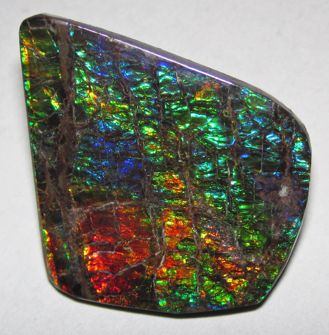 アンモライト (Ammolite) - Rock Identifier