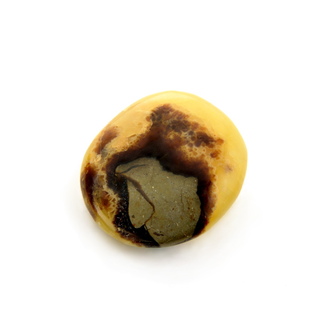 Septarian Stone (Septarian Stone)