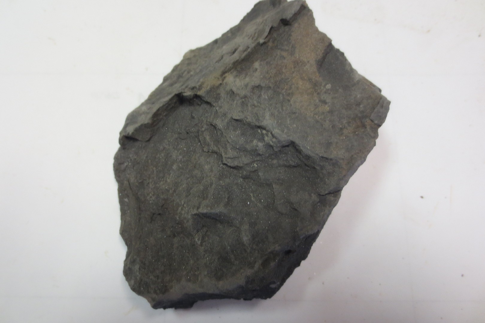 shale-rock-identifier