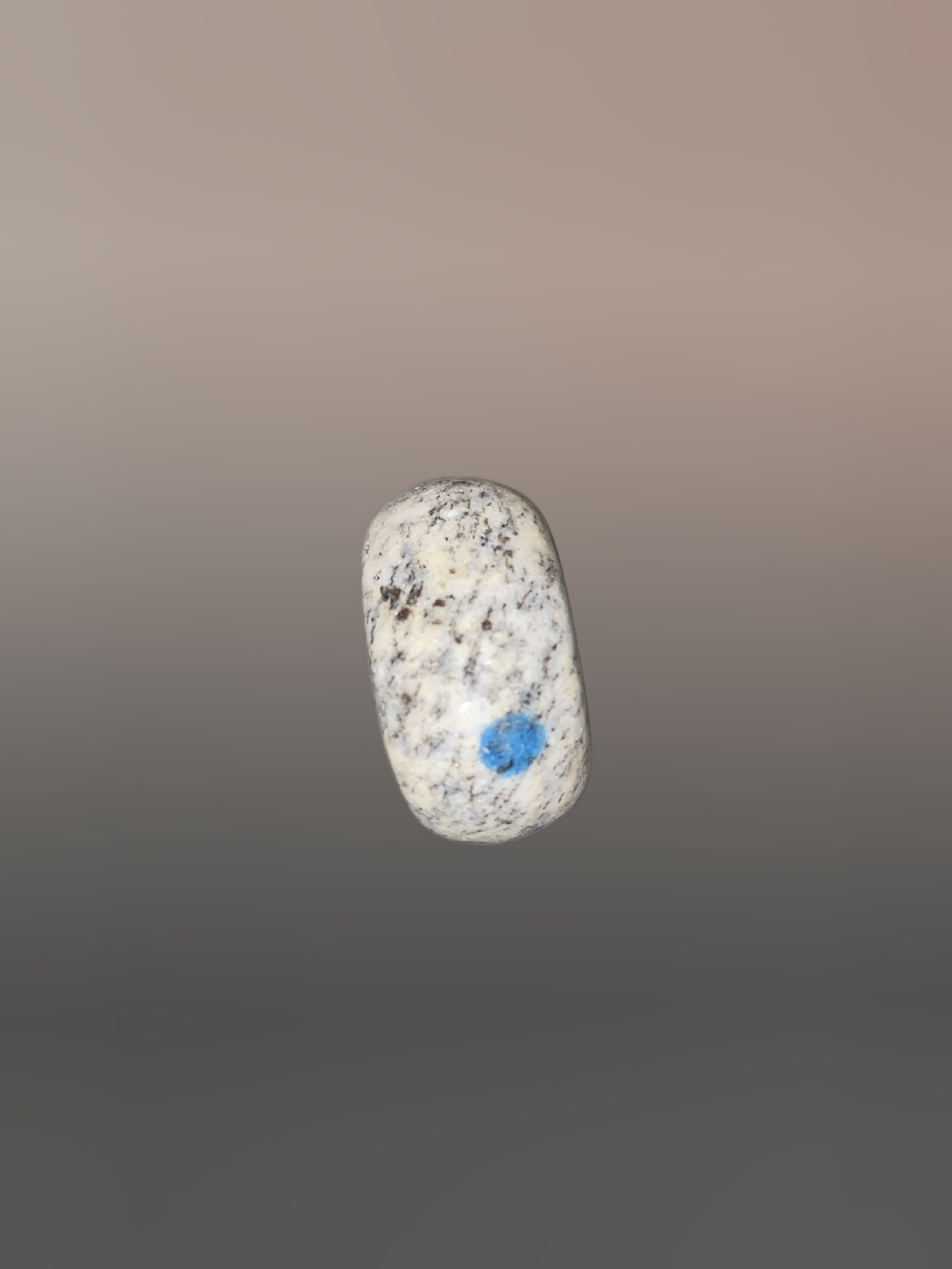 Paua Shell (Paua Shell) - Rock Identifier