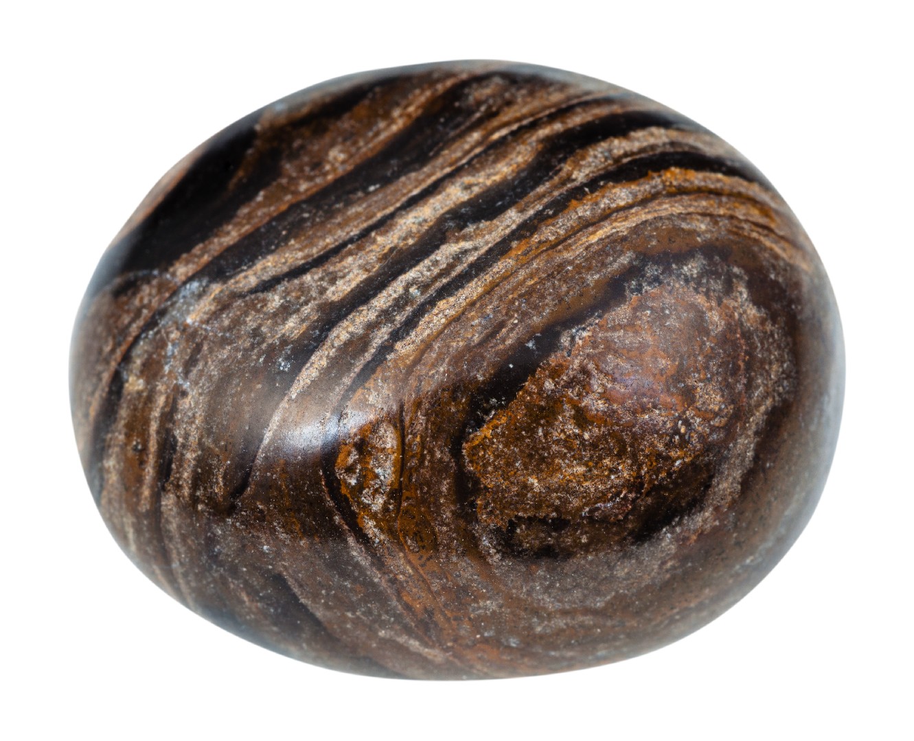 Stromatolith (Stromatolite) Rock Identifier