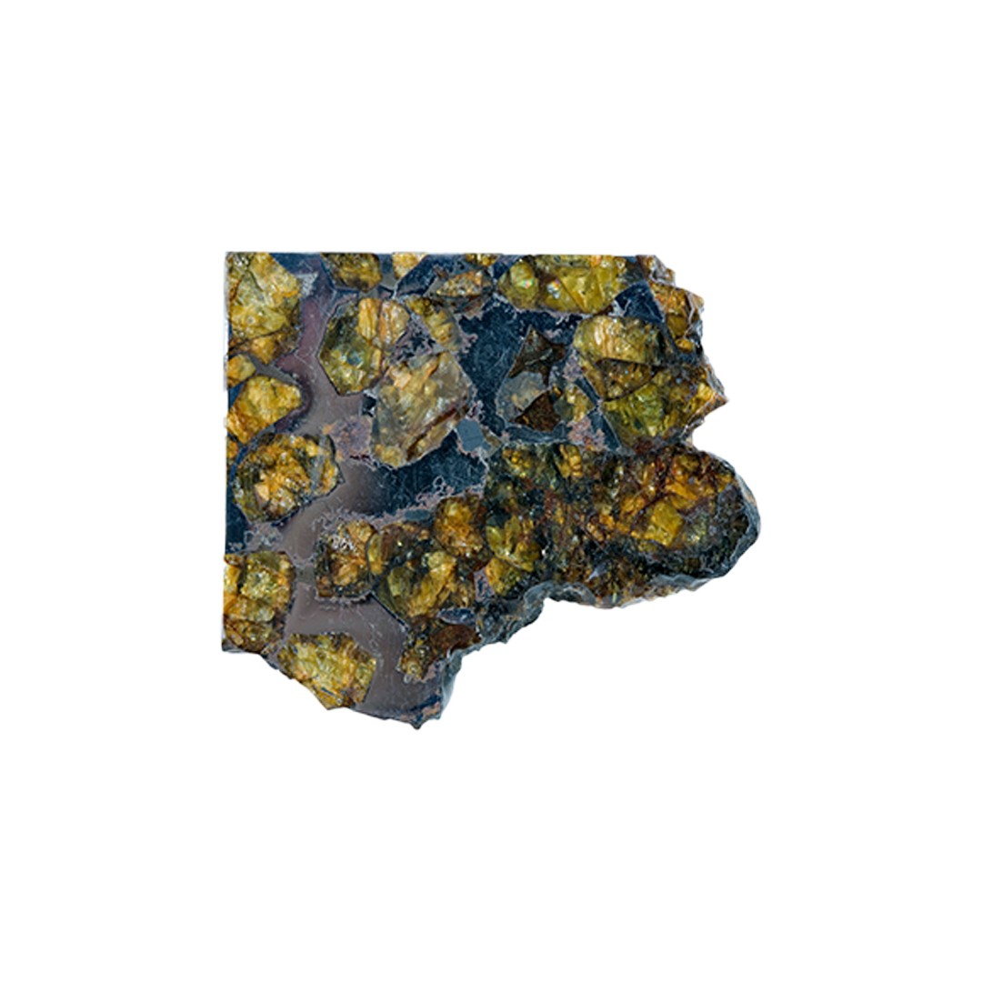 Pallasite Meteorite (Meteorite)