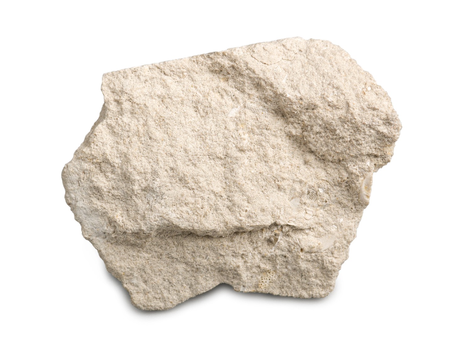 Limestone (Limestone) Rock Identifier